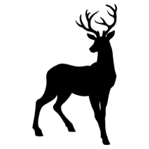 Santa Claus's reindeer PNG