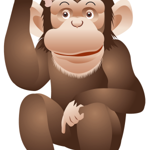 Monkey PNG