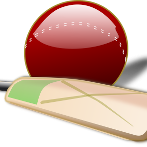 Cricket PNG