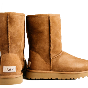 UGG boots PNG