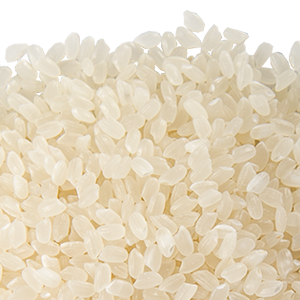 rice PNG