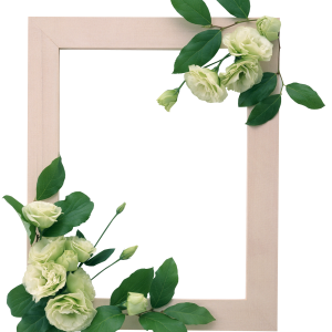 Floral frame PNG