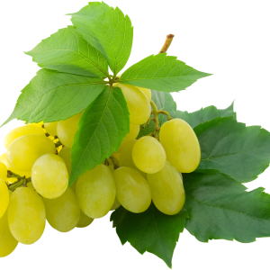 Grape PNG image