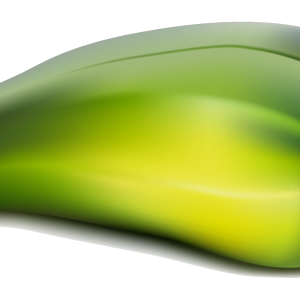 marrow PNG