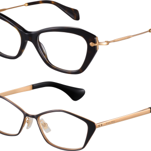 glasses PNG image