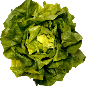 Green salad PNG image