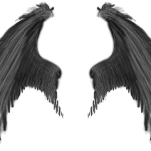 Wings PNG
