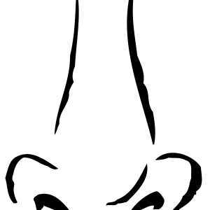Human nose PNG