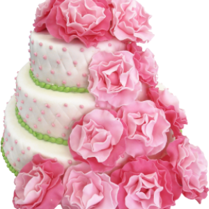 Wedding cake PNG