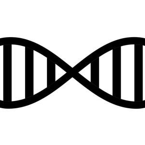 DNA PNG