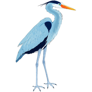 Heron PNG