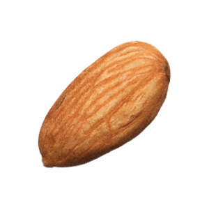 Almond PNG