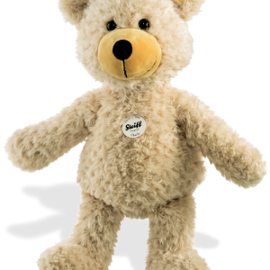 Teddy bear PNG