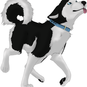 Husky PNG