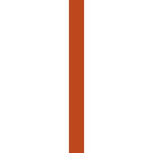 garden rake PNG
