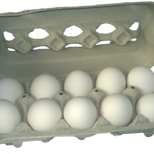 eggs PNG