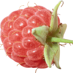 Rraspberry PNG image