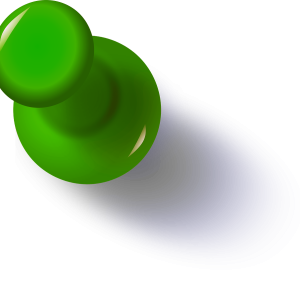 Pin PNG