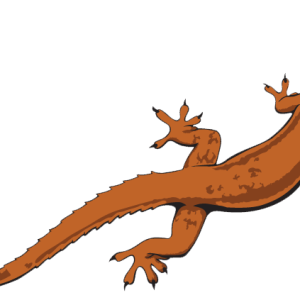 Lizard PNG