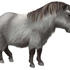 Pony PNG
