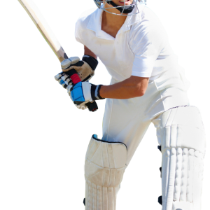 Cricket PNG