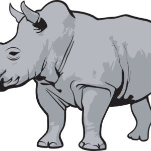 Rhino PNG