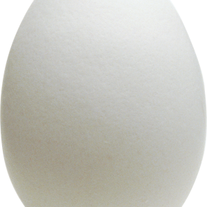 Eggs PNG