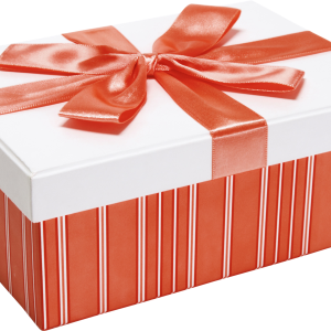 Gift box PNG