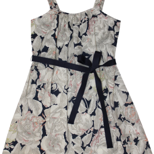 Dress PNG