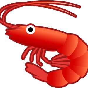 Shrimp PNG image