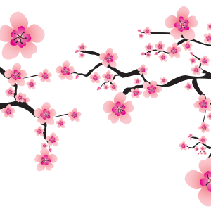 Sakura PNG