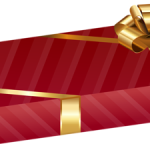 Gift box PNG