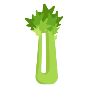 Celery PNG