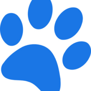 Paw PNG