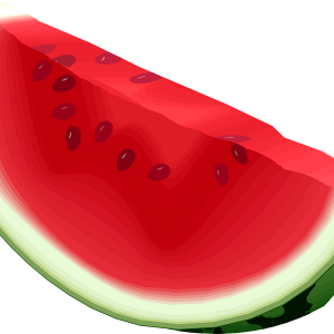watermelon PNG image