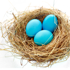 Nest PNG