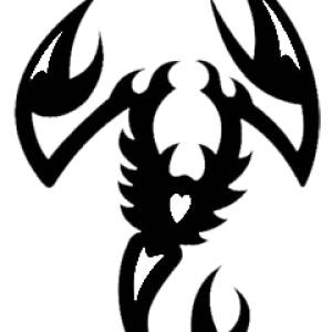 Tattoo scorpion PNG image