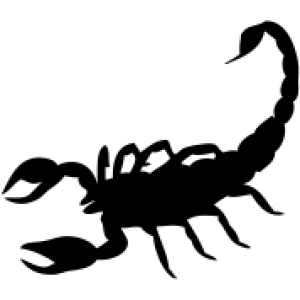 Scorpion tattoo PNG