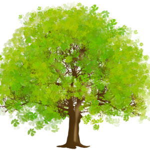 tree PNG