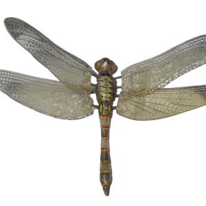 Dragonfly PNG