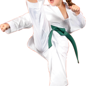 Karate PNG