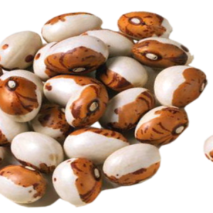 Kidney beans PNG