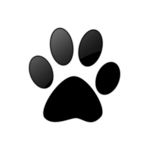 Paw PNG