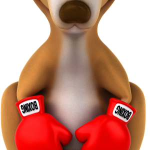 Kangaroo PNG