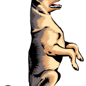 German Shepherd PNG