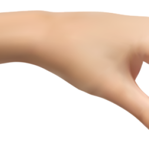 hand PNG