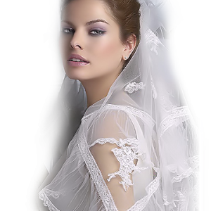 Bride PNG