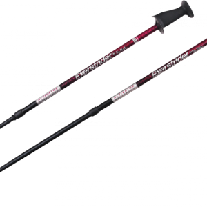 Trekking pole PNG