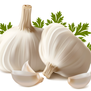 Garlic PNG