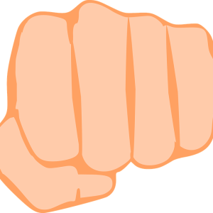 Fist PNG